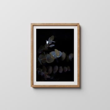 tracie hartley original print